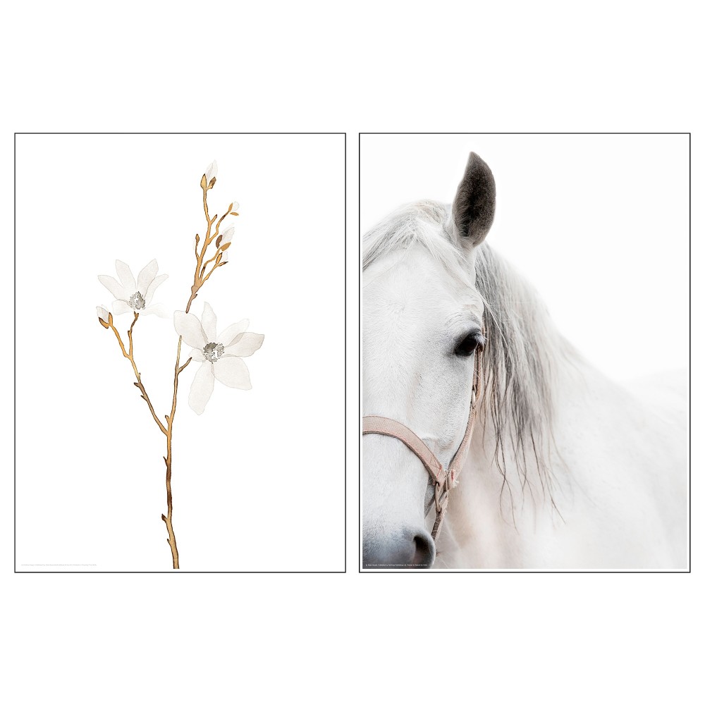 БИЛЬД Постер, Белые цветы и лошадь, 2шт