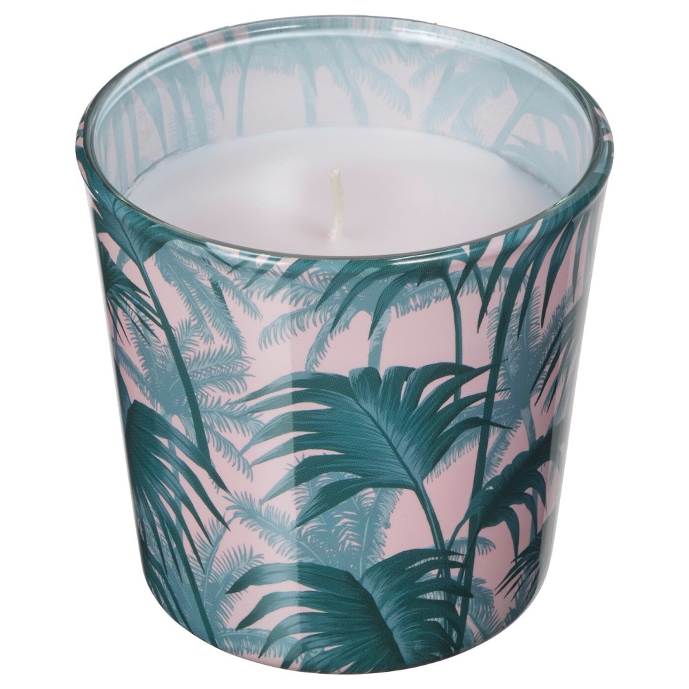 АВЛОНГ Неароматич свеча в стекл подсвечн, пальмовый лист зеленый