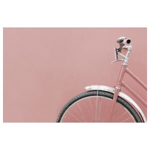 БЬЁРКСТА Холст, Розовый велосипед